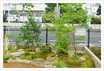 築山の坪庭