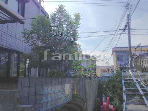 ���� �մ�������