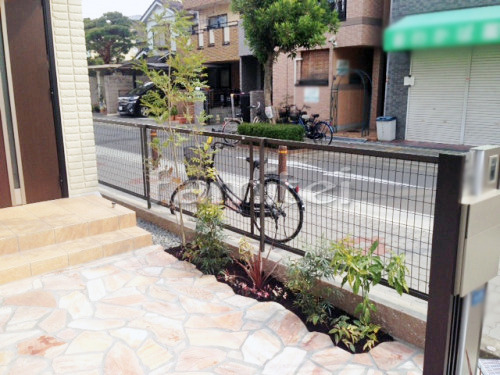 ����ܥ�ĥ꡼ ���ޥȥͥꥳ ���м� ���� ���� ����