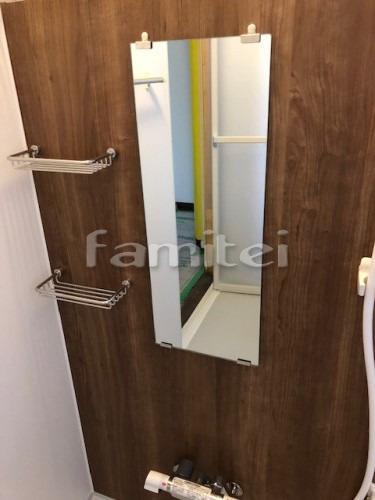 ����ץ�ߥ顼 �磻�䡼�������