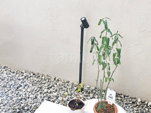 ���ݥåȥ饤�Ⱦ��� �������硼 �����ǥ󥢥åץ饤�� ���ץƥ� ����� M ���
