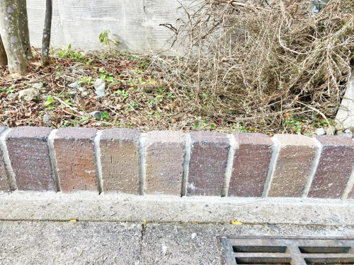 ��󥬲��� ��˥��� ��������
