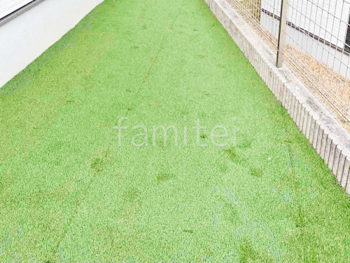 �͹��� ���𥷡��Ȳù� �襷�ߥ��ӿ� �ꥢ��͹��� 35mm 