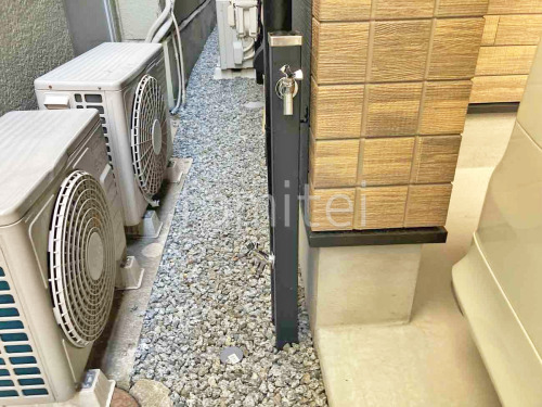 Ω����  ��˥��� ���ץ쥹�����60 �ظ�2���� 