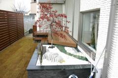 ���� ����