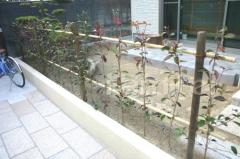 ����������/���ʥ�����