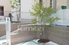 ����ܥ�ĥ꡼ ���ޥȥͥꥳ ���м�