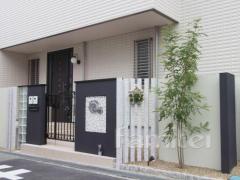 植栽シンボルツリー 常緑シマトネリコ