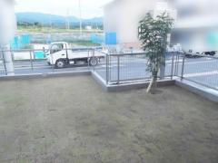  ����ܥ�ĥ꡼ ���� ���Х��ޥȥͥꥳ+����ĥ�� ɱ�����