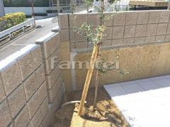 ����ܥ�ĥ꡼ ���꡼�� ���м� ����