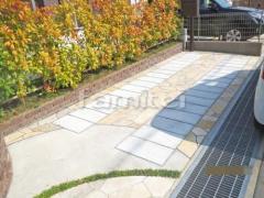 ��־쥬�졼���� ����Ž�� ����� �бѴ� ���ʥꥢ ����ű��
