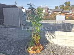 ����ܥ�ĥ꡼ ���ޥȥͥꥳ ���м� ���� ��󥬲��� ��˥��� �������� ��������ǥ�����