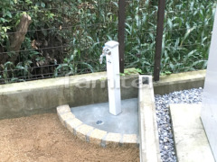 Ω���� �ԥ󥳥��Ϥ������(�ѥ�) �ڴ֥�륿��ž夲 ������