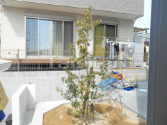 シンボルツリー ソヨゴ 常緑樹 植栽
