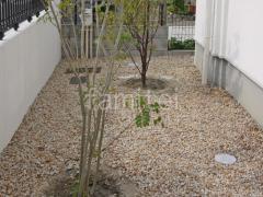 ��������ߤ� ���𥷡��Ȳù�