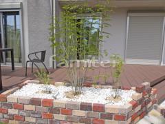 ���� ���ι���TOYO �ץꥦ���֥�å� ����ܥ�ĥ꡼ ���ޥȥͥꥳ ���м� ���Ѻ��� ����