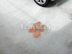 �ݥ���Ⱦ���Ž�� ����� �бѴ�
