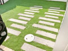 �͹��� ���𥷡��Ȳù� �襷�ߥ��ӿ� �ꥢ��͹��� 35mm 