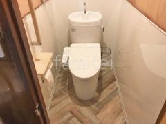 ���󥯼��ȥ���  TOTO �ԥ奢�쥹�� E X 