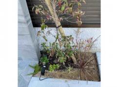 ����ܥ�ĥ꡼ ��ޥܥ��� ���ռ� ���� ���� Panasonic LED�ݡ��� XLGE500YLZ