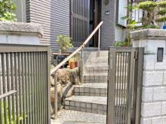 ��Ω ������(�ꤹ��)  LIXIL ����åץ饤�� 