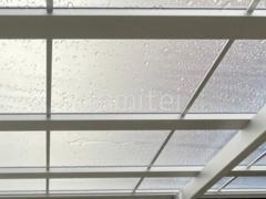 ���ο� �ʥ����륷��С� ������ ���ꥢ�ޥåȣ�(Ǯ������) 