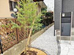 ����ܥ�ĥ꡼ �ϥ��Υ� ���м� ����