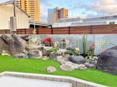 ���� ���� ����