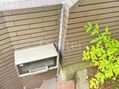 ���������佤