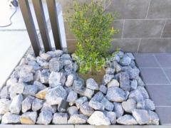 ����ܥ�ĥ꡼ ���꡼�� ���м� ���� ���å������ǥ� ���ι��� ����å�����å� �顼��������