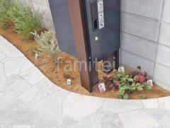 ���� ����