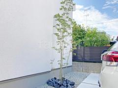 ����ܥ�ĥ꡼ ���ռ� �������� ����