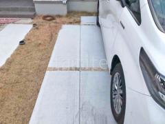 ��־쥬�졼���� �ڴ֥��󥯥꡼��