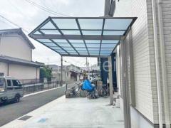 本体色 シャイングレー