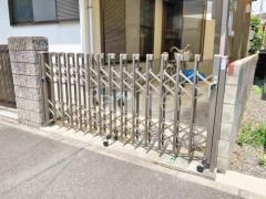 本体色 シャイングレー